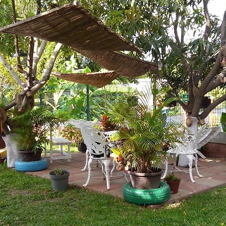 Real Del Ambar Hotel Tuxtla Gutierrez Bagian luar foto